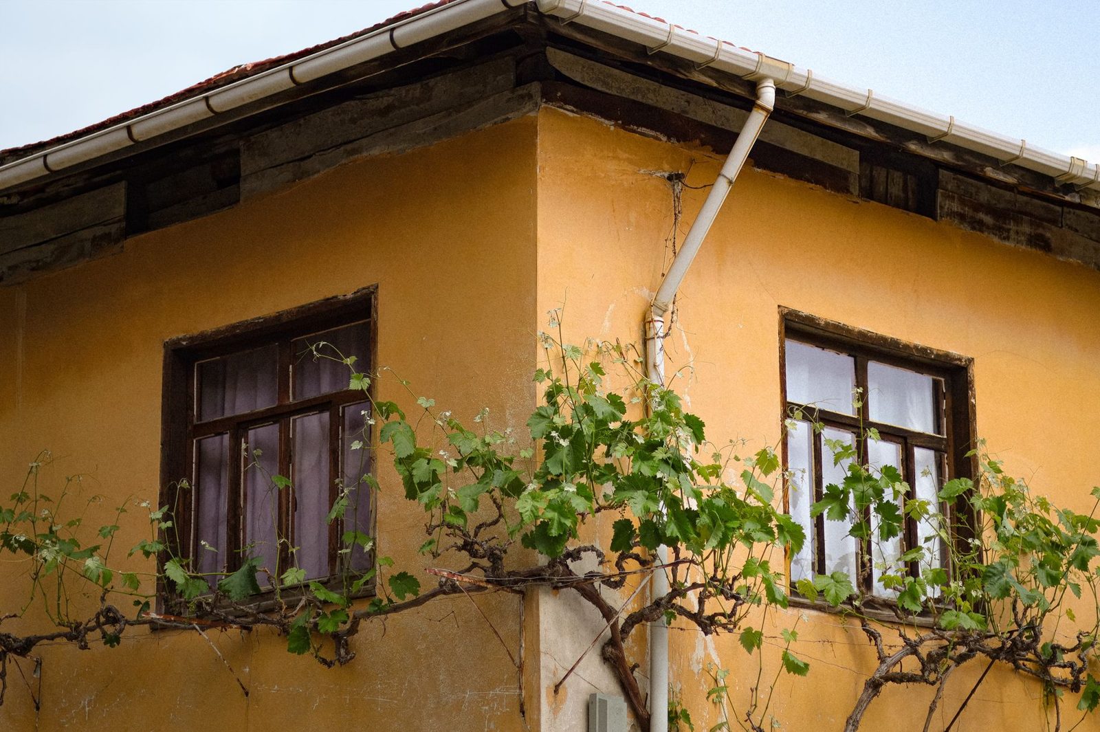 Water Damage: Cheap Prevention vs. Expensive Repair