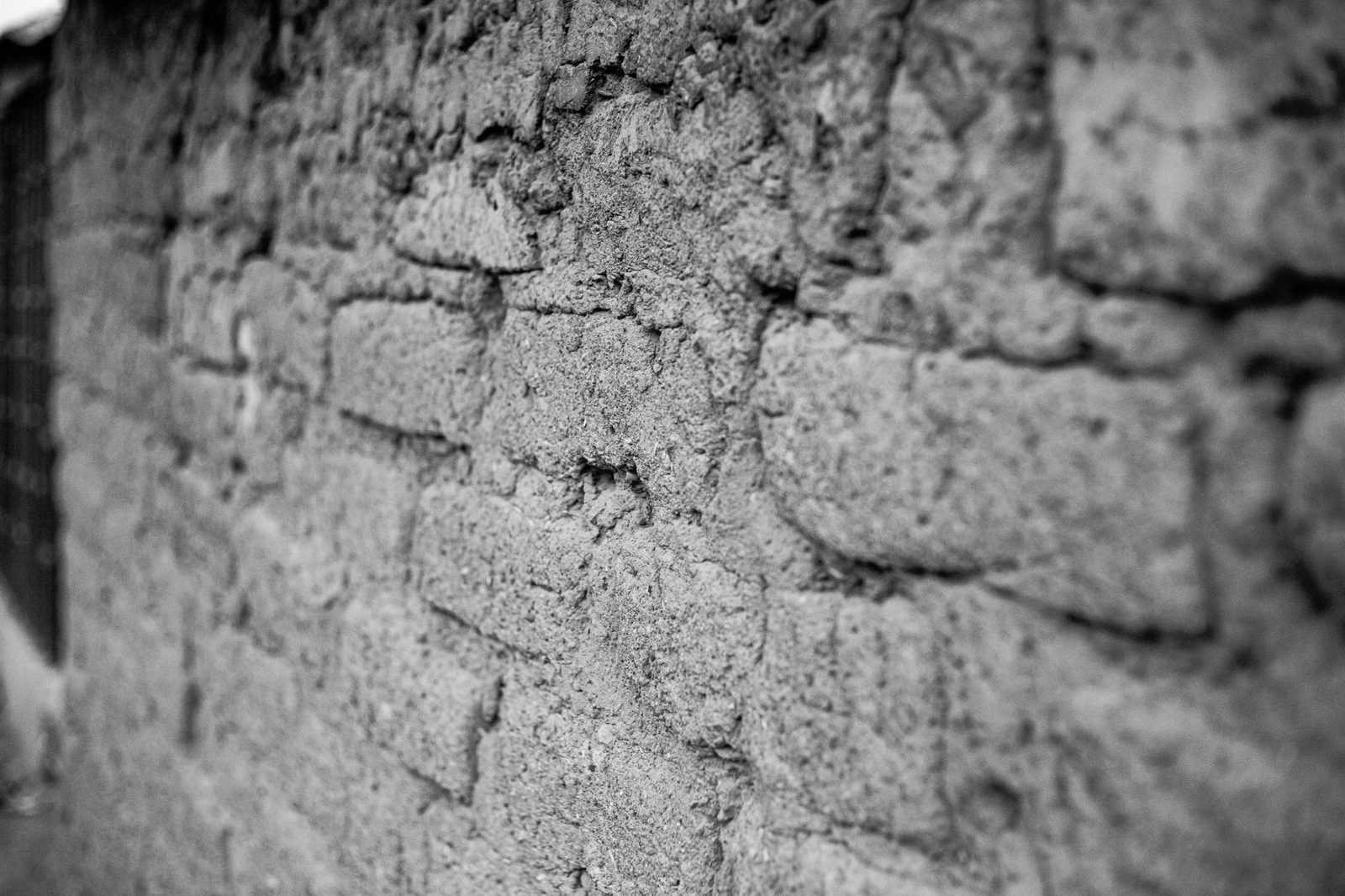Close-up of termite mud tubes running along a home's foundation wall