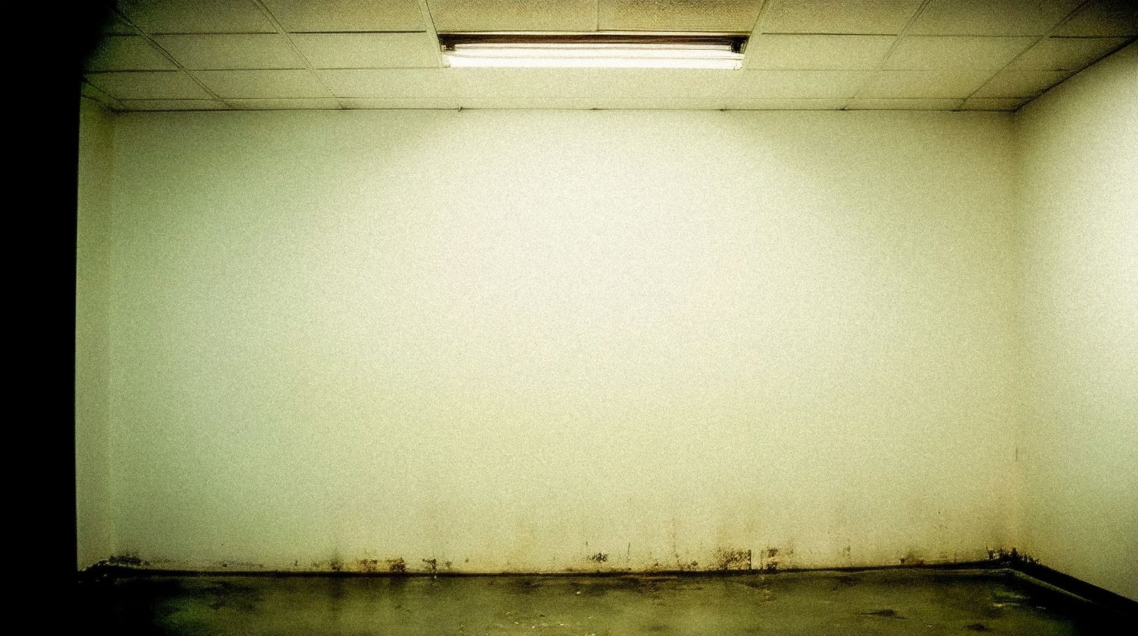 Close-up of a water stain in the corner of a ceiling suggesting a past leak