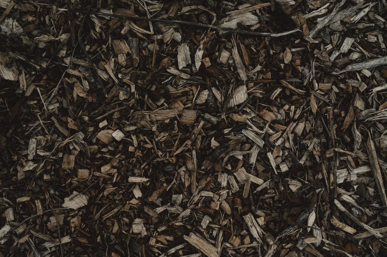 Mulch piled high against exterior siding near a home's foundation